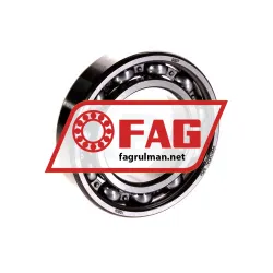 FAG 6007
