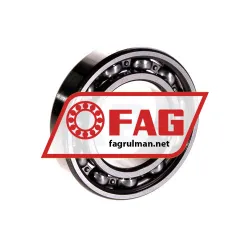 FAG 6007 rulman resim 2