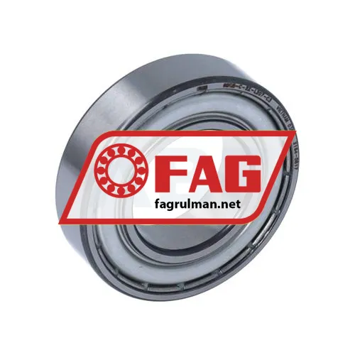 FAG 6005-C-2Z-L207-C3