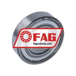 FAG 6005-C-2Z-L207-C3