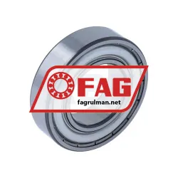 FAG 6005-C-2Z-L207-C3 rulman resim 2