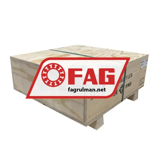 FAG 61960-MA-C3