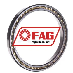 FAG 61821-Y-C4