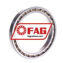 FAG 61810-Y-C3