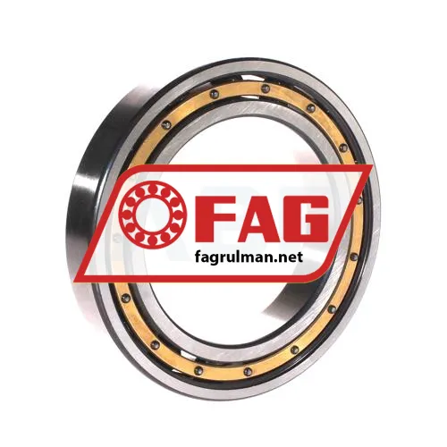 FAG 6017-M-S1-C4 ürün fotoğrafı 2