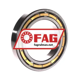 FAG 6017-M-S1-C4