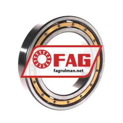FAG 6017-M-S1-C4 rulman resim 2