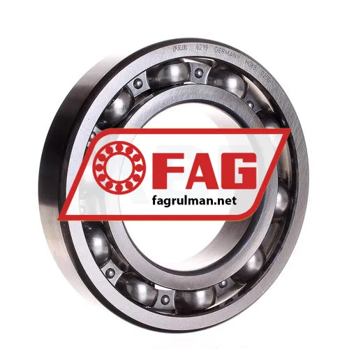 FAG 6219