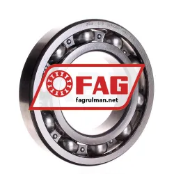 FAG 6219