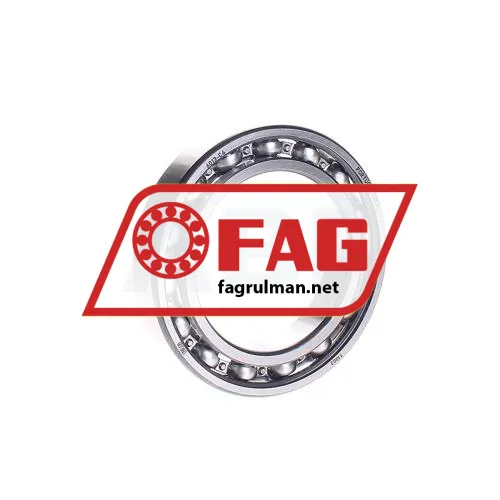 FAG 6013-C4