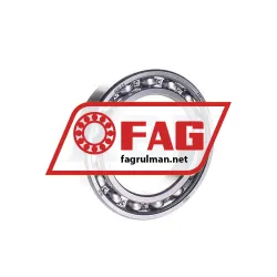 FAG 6013-C4