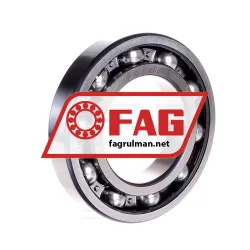 FAG 6219-Z-C3