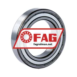 FAG 6010-Z-C3