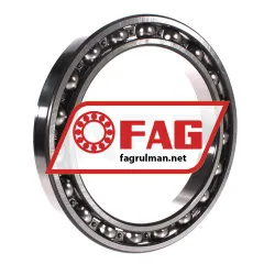 FAG 61934-C3