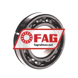 FAG 6007-N