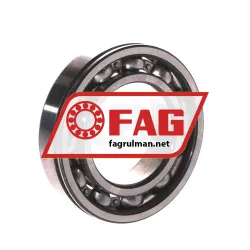 FAG 6007-N rulman resim 2