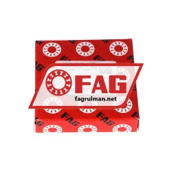 FAG 6007-N rulman resim 3