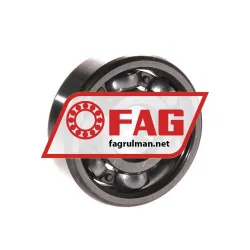FAG 6301 rulman resim 2