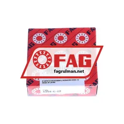 FAG 6305-C-2Z rulman resim 2