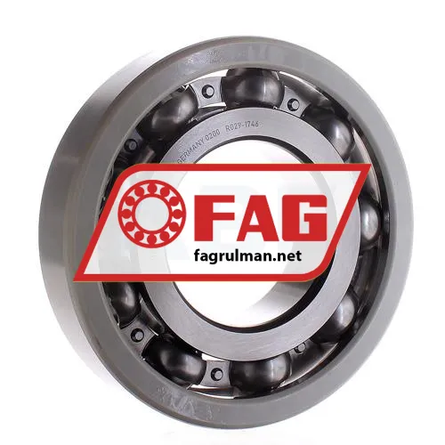 FAG 6320-J20AA-C3