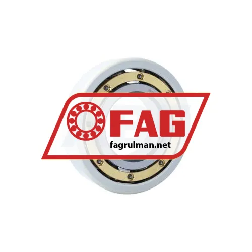FAG 6317-M-J20AA-C4
