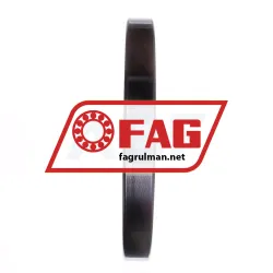 FAG 16038-MA rulman resim 3
