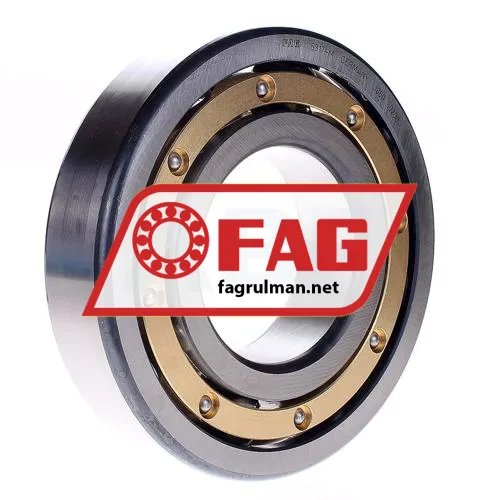 FAG 6317-M