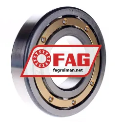 FAG 6317-M