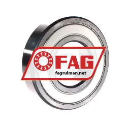 FAG 6313-C-2Z-C3
