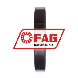 FAG 6030-MA-C4 rulman resim 3