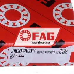 FAG 6030-MA-C4 rulman resim 5