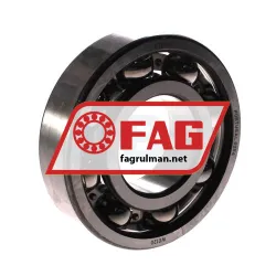 FAG 6309-C