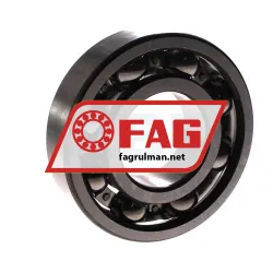 FAG 6309-C rulman resim 2