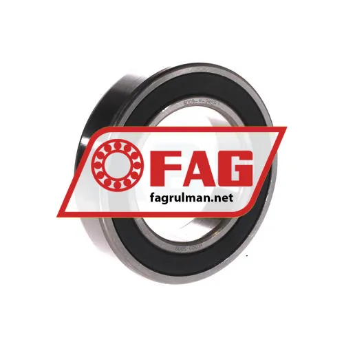 FAG 6009-H-2RSR