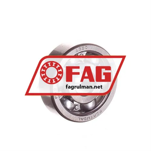 FAG 6300