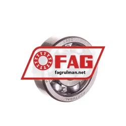 FAG 6300