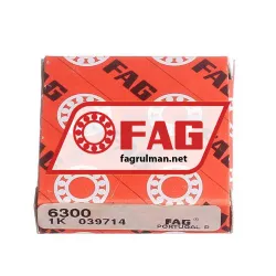 FAG 6300 rulman resim 3