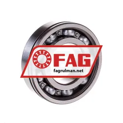 FAG 6206ZRN