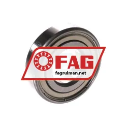 FAG R10-2Z-HLC rulman resim 2