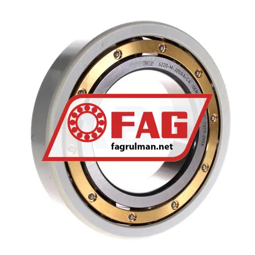 FAG 6220-M-J20AA-C4