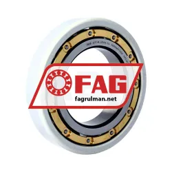 FAG 6217-M-J20AA-C4