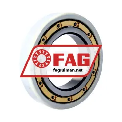 FAG 6217-M-J20AA-C4 rulman resim 2