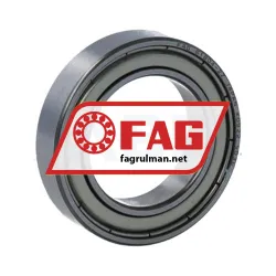FAG 61804-2Z-L178-HLC