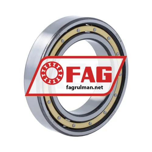 FAG 6010-M