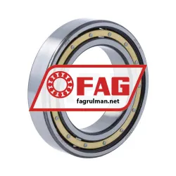 FAG 6010-M
