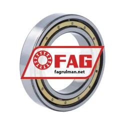 FAG 6010-M rulman resim 2