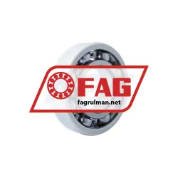 FAG 6317-J20AB-C4 rulman resim 2