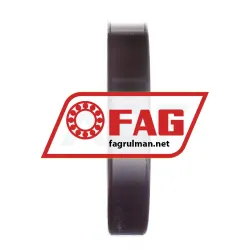 FAG 6014-TB rulman resim 3