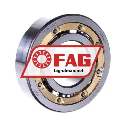 FAG 6309-MA