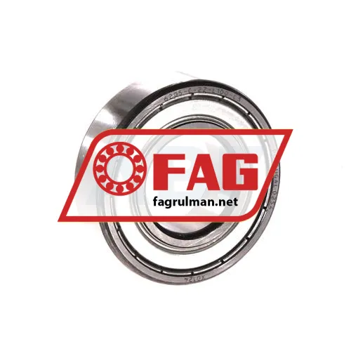 FAG 6205-C-2Z-L100-C3